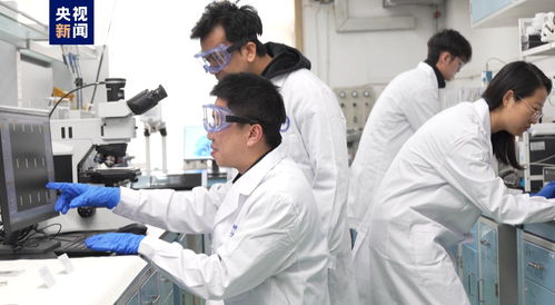 我國科研人員實現二維金屬碲化物材料宏量制備，助力材料科學規?；瘧? />
</span>
<span id=